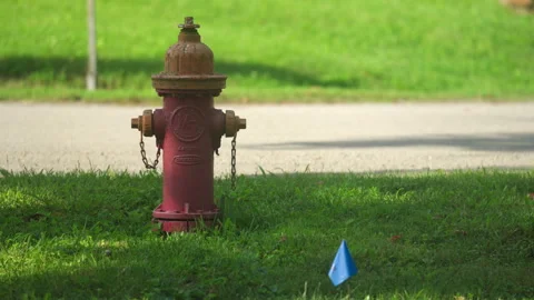 Red Fire Hydrant Stock Footage 247992196