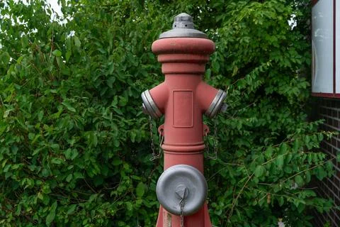 Red fire hydrant in front of green foliage. Stock Photos