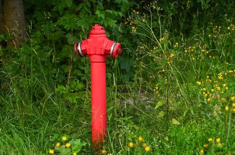 Red fire hydrant in the green grass in the park Stock Photos