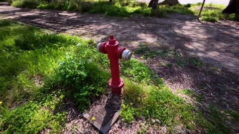 Red fire hydrant in a green park near a dirt road Vídeo Stock 304685953