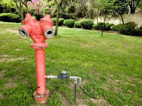 Red Fire Hydrant in a Park Stock Photos