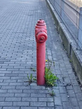 Red Fire Hydrant on Paved Urban Sidewalk Stock Photos