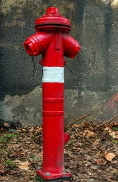 Red fire hydrant Stock Photos