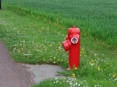 Red fire hydrant Stock Photos