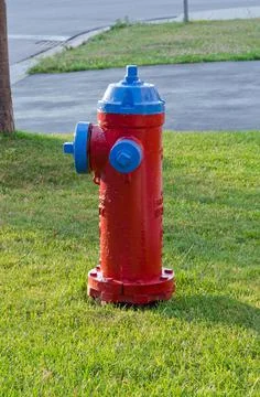 Red fire hydrant Stock Photos