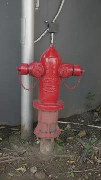 A red fire hydrant Stock Photos