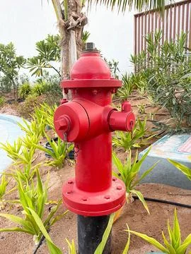Red fire hydrant Stock Photos