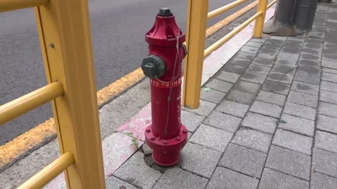 Red Fire Hydrant on a Sidewalk in Seoul Stock Footage 313254917