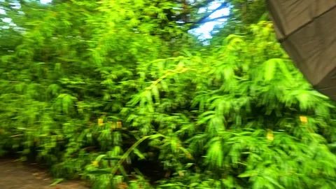 A red fire hydrant sitting. Stock Footage 282631262