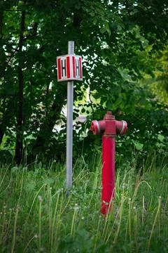 Red fire hydrant standing on grassy ground Stock Photos