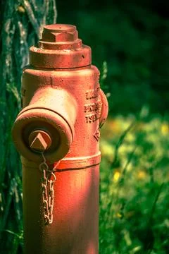 Red fire hydrant standing in park closeup. Fire safety concept turkiye Stock Photos