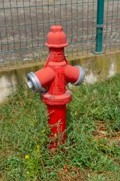 Red fire hydrant stands tall amidst overgrown green grass and weeds Stock Photos