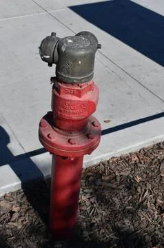 Red fire hydrant on the street in the spring Foto stock