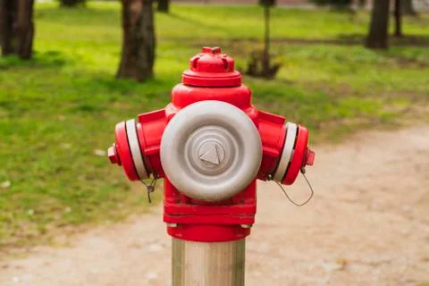 Red fire hydrant on the street in the springtime. Stock Photos