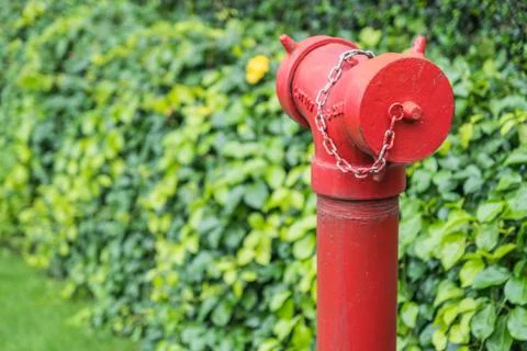 Red fire hydrant surrounded by green grass Stock Photos