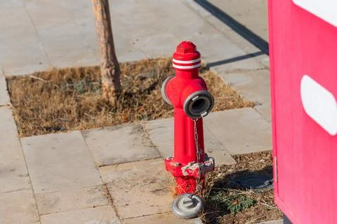 Red Fire Hydrant in Turkey Next to Tree and Red Structure 스톡 사진