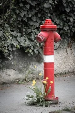 Red fire hydrant water hydrant Stock Photos