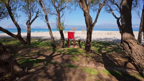 Red fire safety box placed at forest edge near water 스톡 동영상 304686064