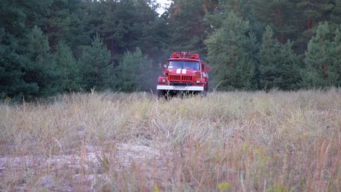 Red Fire truck rides from the pine forest. Stock Footage 116148570
