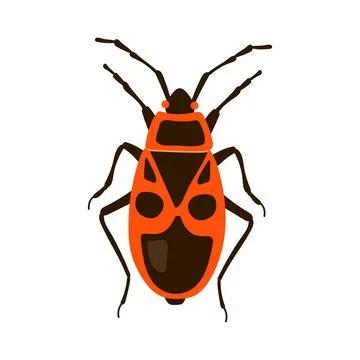 Red firebug insect with black pattern vector illustration isolated on white b イラスト素材