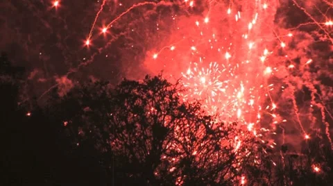 Red fireworks and tree Video stock 8954471