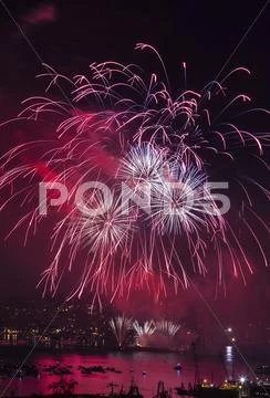 Red fireworks Stock Photos