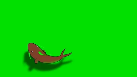 RED FISH 5 sec version Video stock 87644187