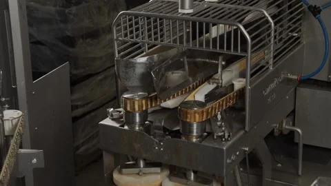 Red fish being cut at a fish factory 库存影片 253542061