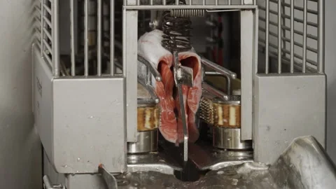 Red fish being cut into two halves at a fish factory Stock Footage 253542334