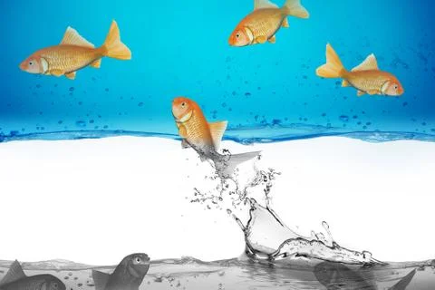 Red fish business Stock Illustration
