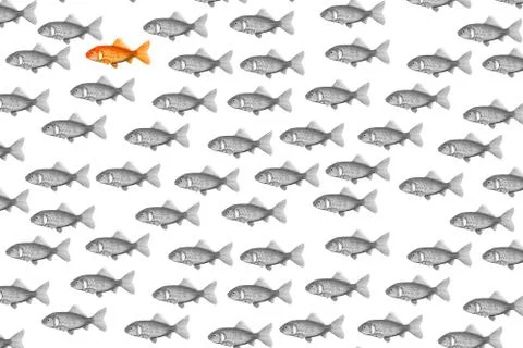 Red fish business Stock Illustration