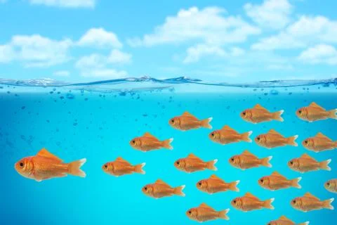 Red fish business Stock Illustration