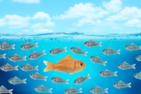 Red fish business Stock Illustration