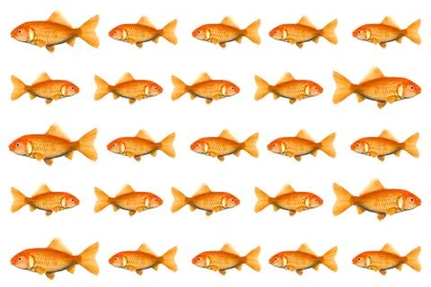 Red fish business Illustration
