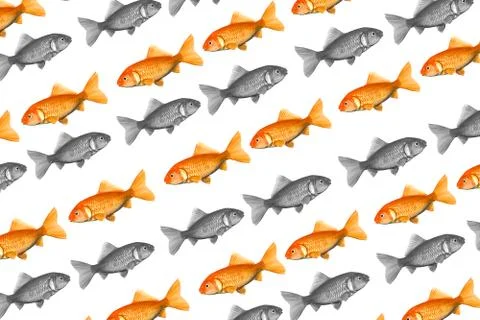 Red fish business Stock Illustration