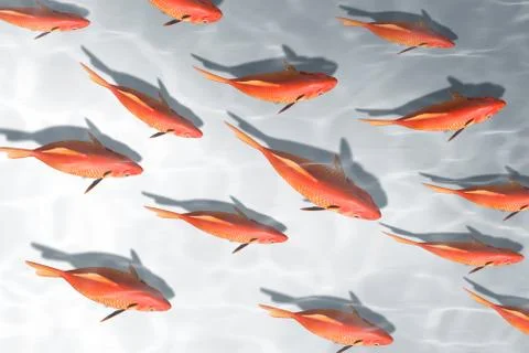 Red fish business Stock Illustration