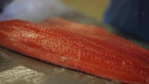 Red fish factory Stock Footage 80025196