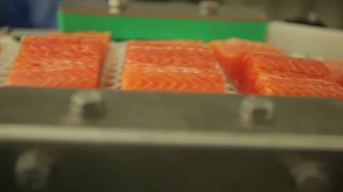 Red fish factory Stock Footage 80025540
