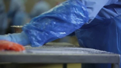 Red fish factory Stock Footage 80025552
