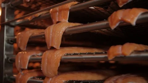 Red fish factory Stock Footage 80025586