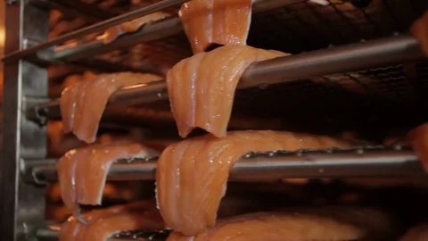 Red fish factory Stock Footage 80025632