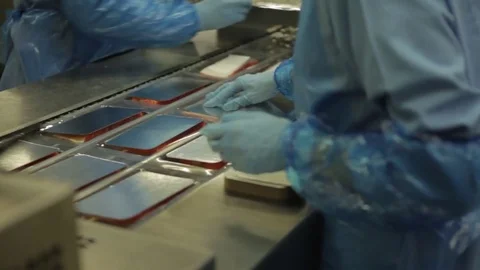 Red fish factory Stock Footage 80025641