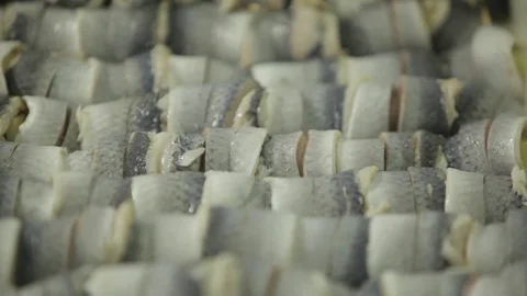Red fish factory Stock Footage 80025659