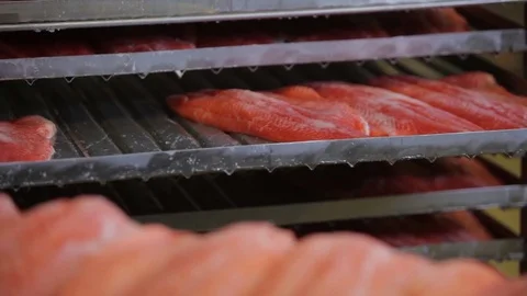 Red fish factory Stock Footage 80025663