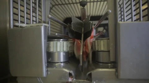 Red fish factory Stock Footage 80773309