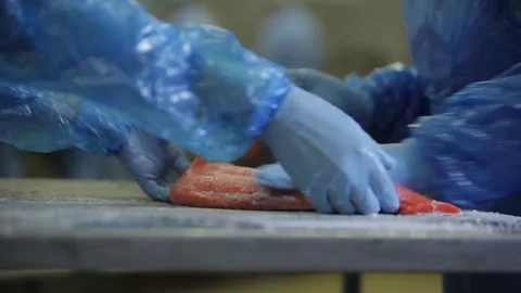 Red fish factory Stock Footage 80773318