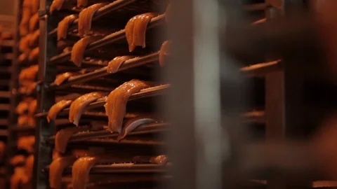 Red fish factory Stock Footage 80773347