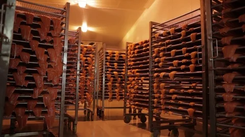 Red fish factory Stock Footage 80773369