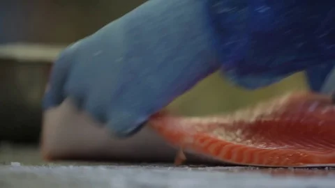 Red fish factory Stock Footage 80773403