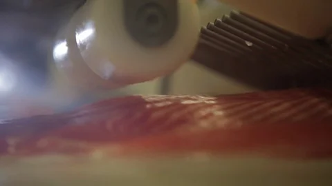 Red fish factory Stock Footage 80773420